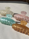 Shimmery Claw Clip